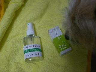 a0089120_2330558.jpg