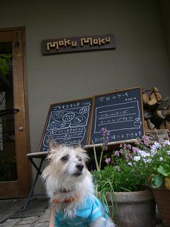 a0089120_23542816.jpg