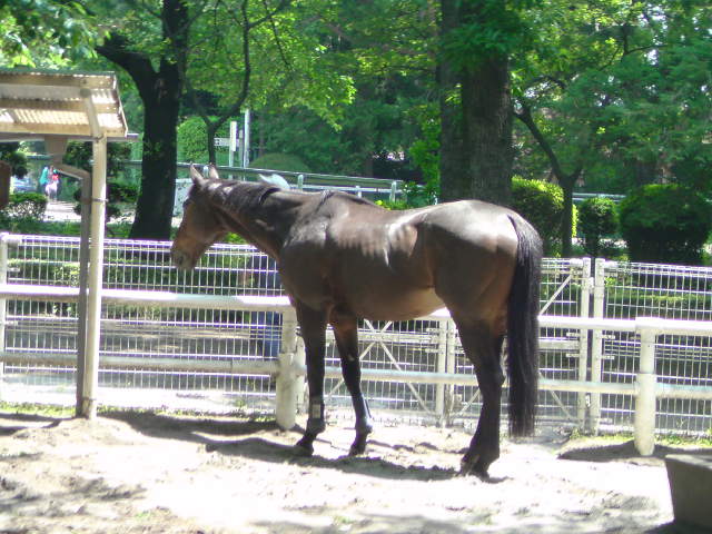 e0016828_16375958.jpg