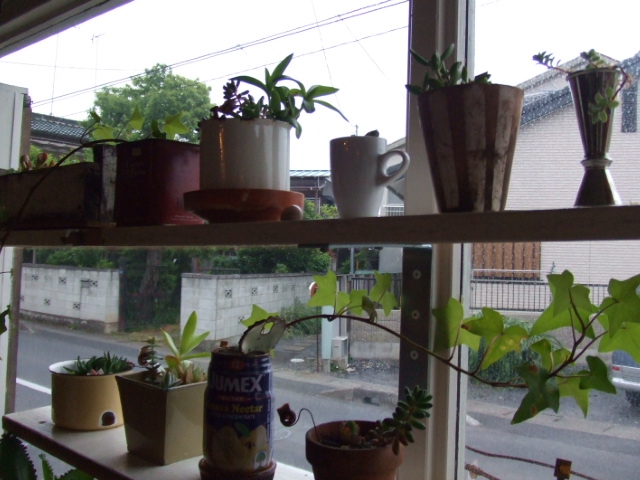 c0110930_02983.jpg