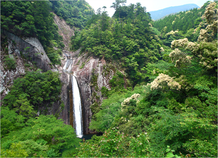 d0147530_6145143.jpg