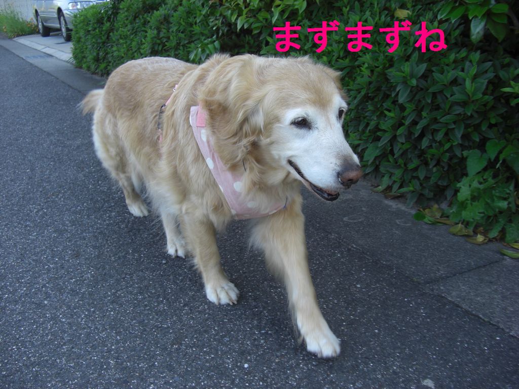 e0142430_1028253.jpg
