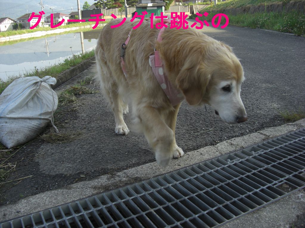 e0142430_10283864.jpg