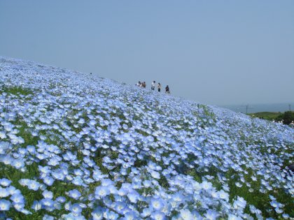 c0025938_2238132.jpg