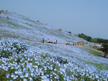 c0025938_2238221.jpg