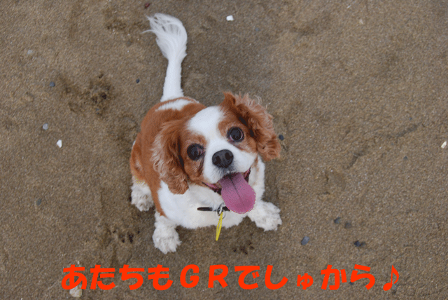 c0136838_2224147.gif