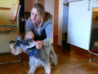 c0153740_0404721.jpg