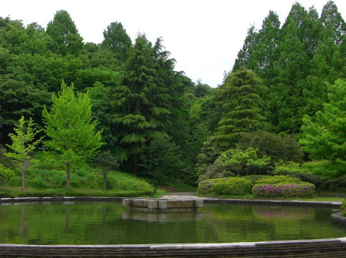 f0094843_2375914.jpg