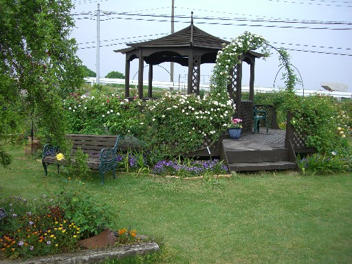 f0072846_0245217.jpg