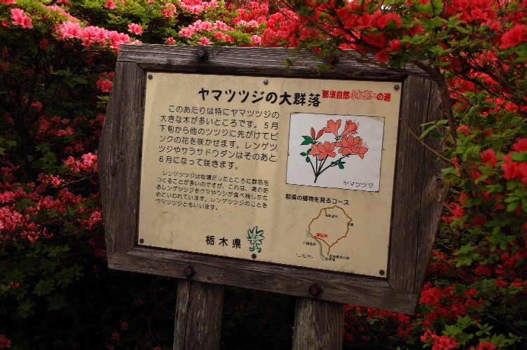 e0009147_1620401.jpg