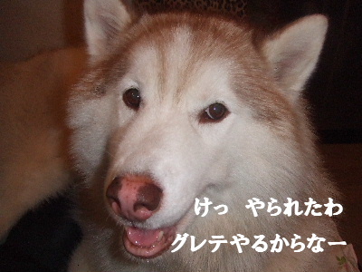 e0121548_2143785.jpg