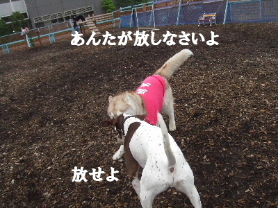 e0121548_22304280.jpg