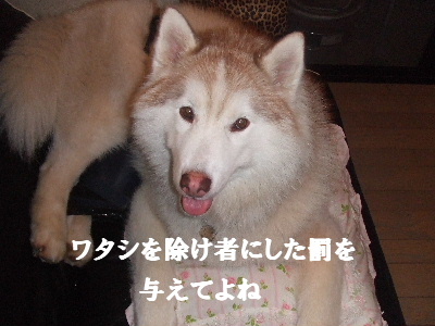 e0121548_22445148.jpg