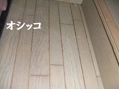 e0121548_22505942.jpg