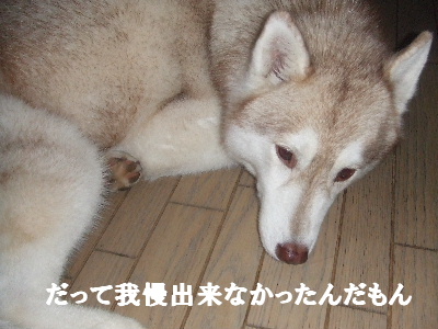 e0121548_22544429.jpg