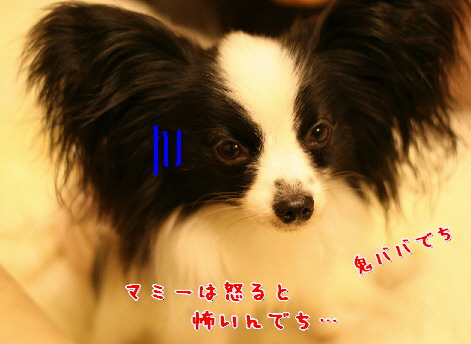 d0013149_13593321.jpg