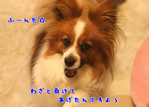 d0013149_14274329.jpg