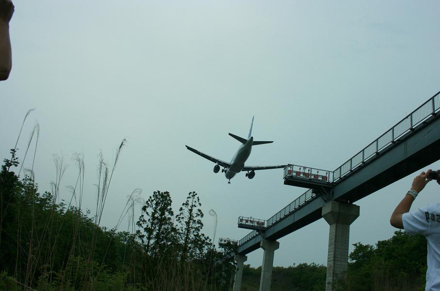 d0152551_2051544.jpg