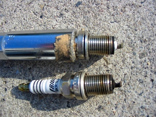 f0000652_2024758.jpg