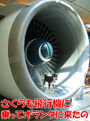 e0145753_63901.jpg
