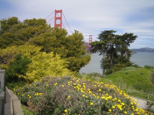 d0082958_13551264.jpg