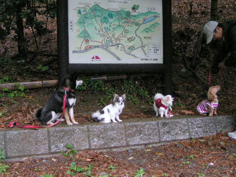 b0137459_20211277.jpg