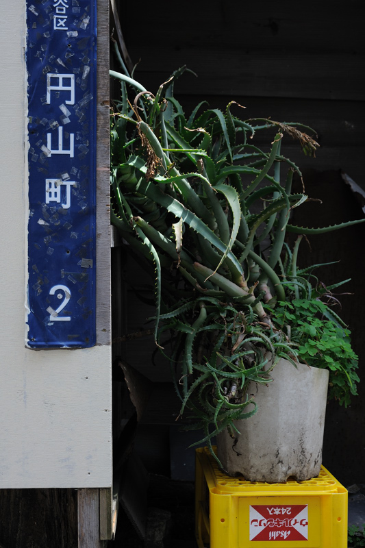 f0079061_20154352.jpg