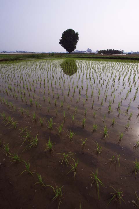 e0067463_5533380.jpg