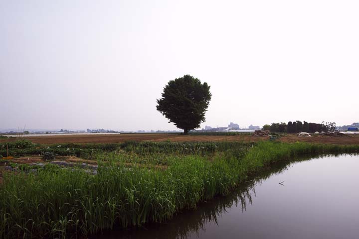 e0067463_554114.jpg