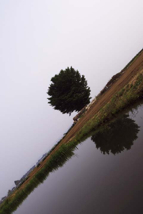 e0067463_5543356.jpg