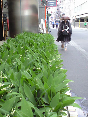 c0050264_13425384.jpg