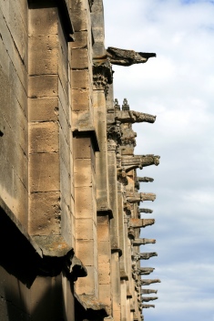 f0144469_15335480.jpg