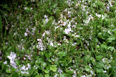 f0144469_1534221.jpg