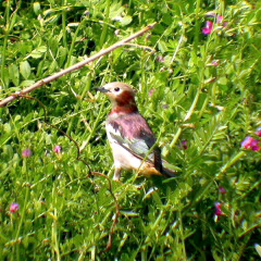 d0008072_23411843.jpg