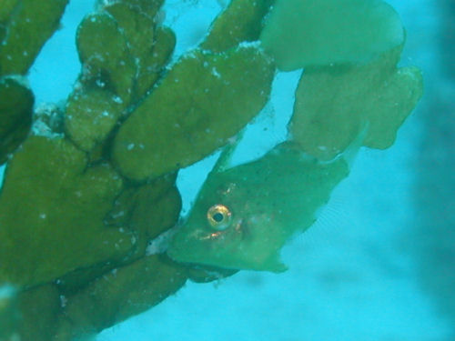 d0114375_1235511.jpg