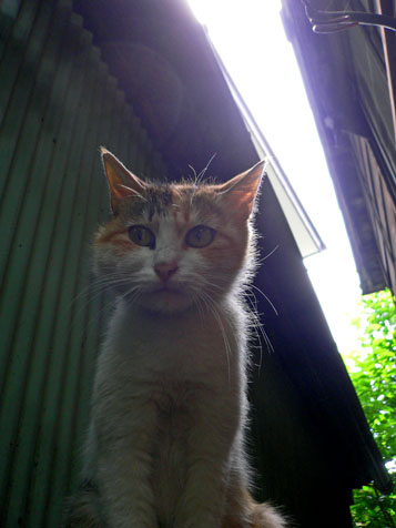 e0112077_0233020.jpg