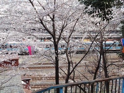 c0105785_13273570.jpg