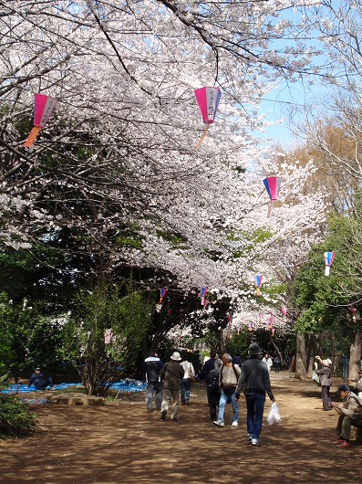 c0105785_13312499.jpg