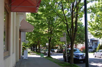 d0129786_13205248.jpg