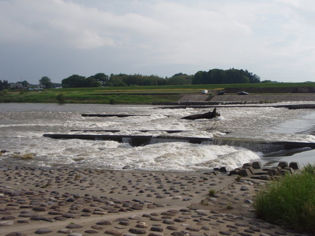 b0139489_20484151.jpg