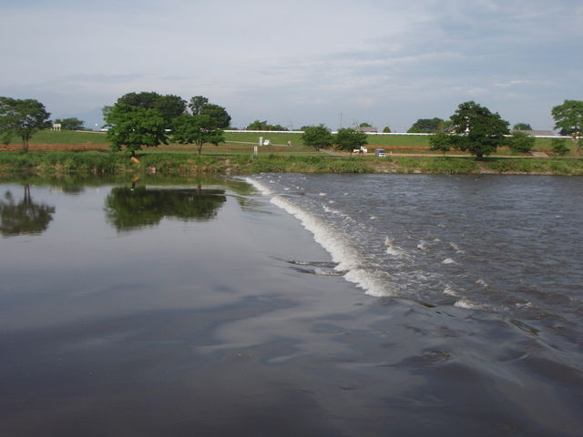 b0139489_20582485.jpg