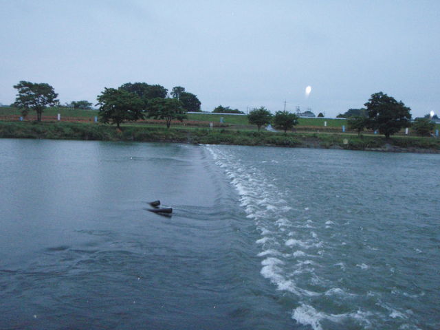 b0139489_20585759.jpg