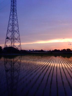 c0154691_2245649.jpg