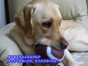 c0028792_20274964.jpg