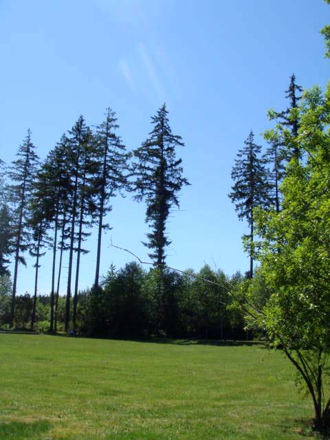 c0103793_8274340.jpg