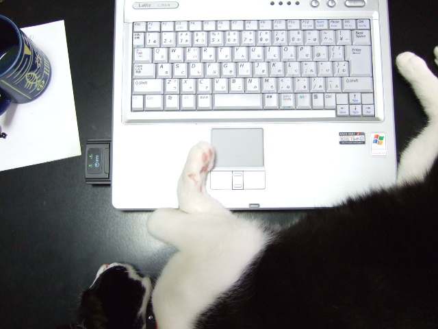 c0150193_1555573.jpg