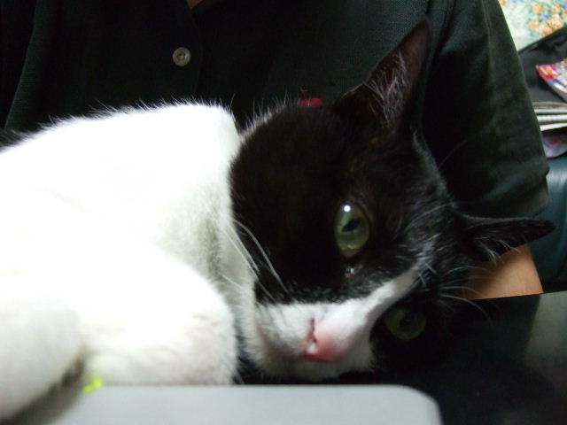 c0150193_15564076.jpg