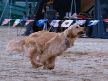 d0080601_13173076.jpg