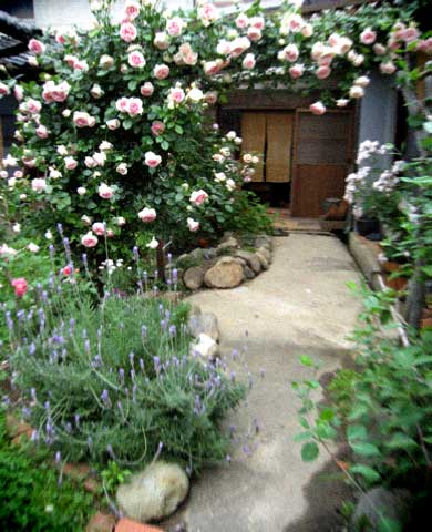 d0077603_1128511.jpg