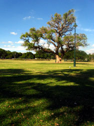 b0083405_14425448.jpg